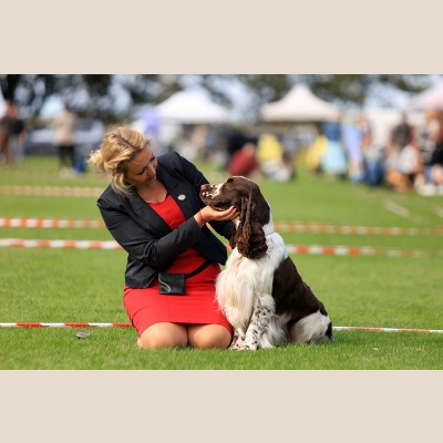 -ugo-best-in-show-ii.jpg