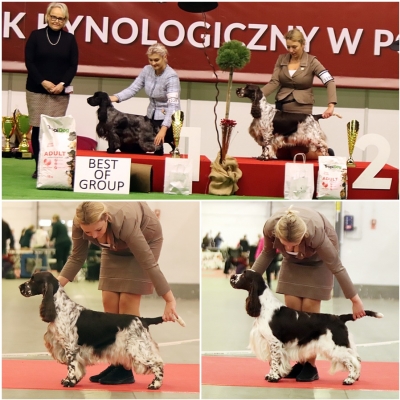 kielce-2-x-cacib.jpg